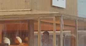 Galerie foto - poza 1