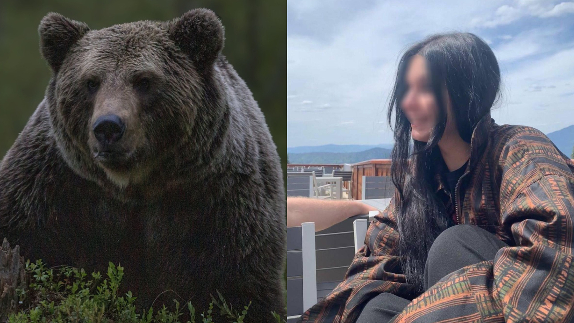 S-a aflat de ce ursul a atacat-o pe Maria Diana, de fapt. Ce greșeală a comis tânăra + era sau nu animalul turbat?!