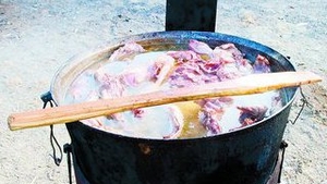 Ciorba de miel, dreasa cu smantana si galbenus de ou
