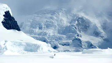 Lumea ascunsă de sub Antarctica. Ce au descoperit experții