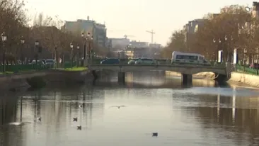 Caz cutremurător în București! Un bărbat și-a băgat bebelușul nou-născut într-o pungă și l-a aruncat în râul Dâmbovița