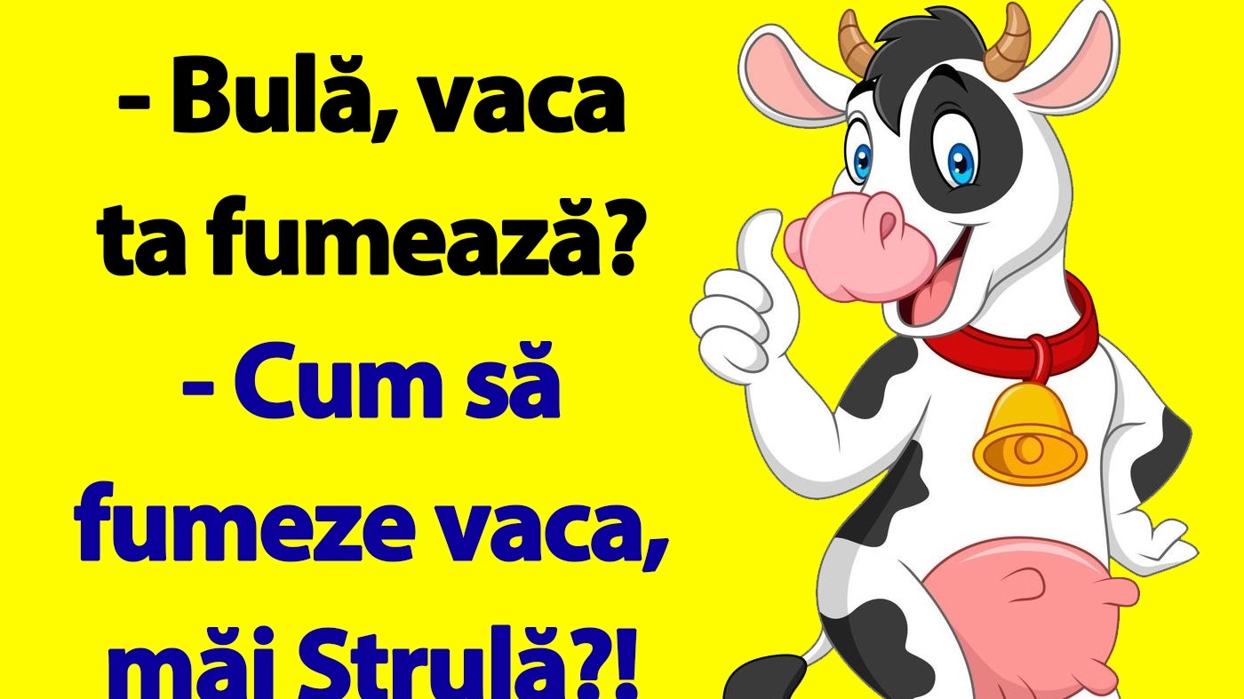 Bancul de sâmbătă dimineața |  "Bulă, vaca ta fumează?"