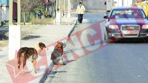 Biruri trasnite pentru prahoveni