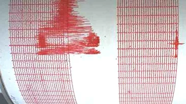 VIDEO Cutremur cu magnitudinea 8,8 in Oceanul Pacific