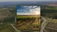 Toscana României este mai aproape decât crezi! Drumul Vinului, escapada de toamnă printre conace și podgorii