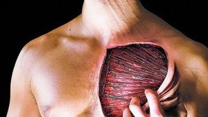 Ce se ascunde cu adevarat in spatele durerilor musculare!