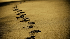 Când se va deschide sezonul turistic pe Litoral. Anunțul optimist al ministrului Economiei: „Toți ne dorim ca în august...”