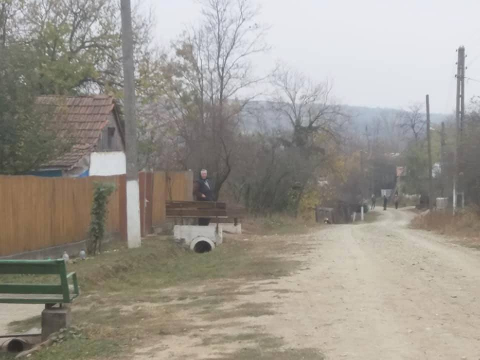 Liniștea dinaintea furtunii
