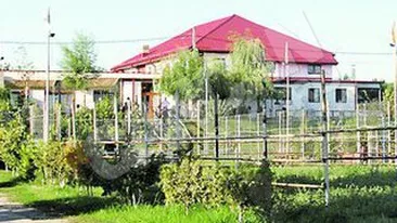 Fabrica Aldis, la un pas de prabusire?Alina Naghi, fata in fata cu revolta angajatilor: nu a platit salariile si urmeaza disponibilizari