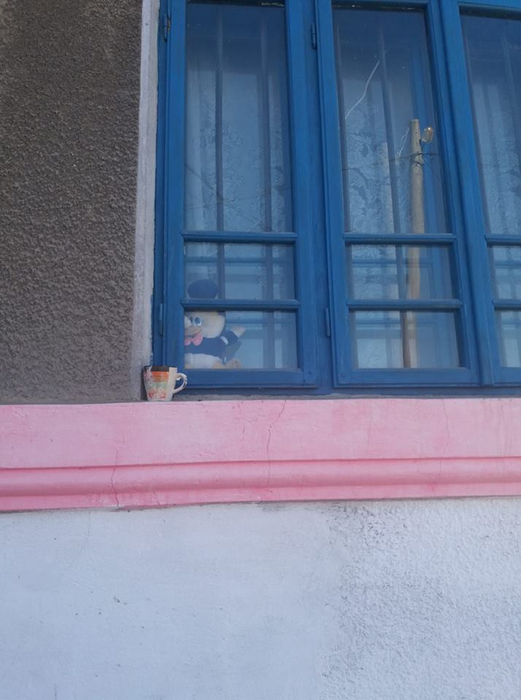 În cadrul programului vor fi reabilitate 30 de case din comună
