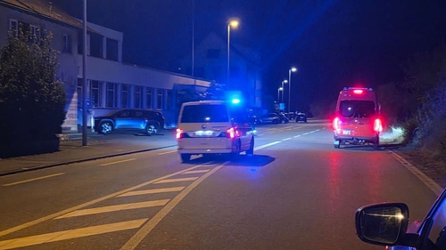 Atac armat în timpul unei petreceri rave din Elveția. O femeie de 22 de ani a murit, alte cinci persoane au fost rănite
