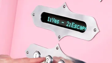 Automate pentru casatorii