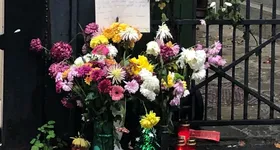 Galerie foto - poza 1