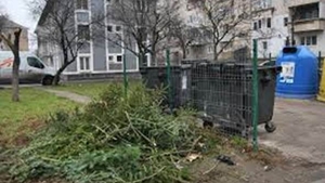 Stii ce se intampla cu brazii de Craciun dupa ce acestia ajung la gunoi? CANCAN.ro va explica totul despre reciclarea pomilor!