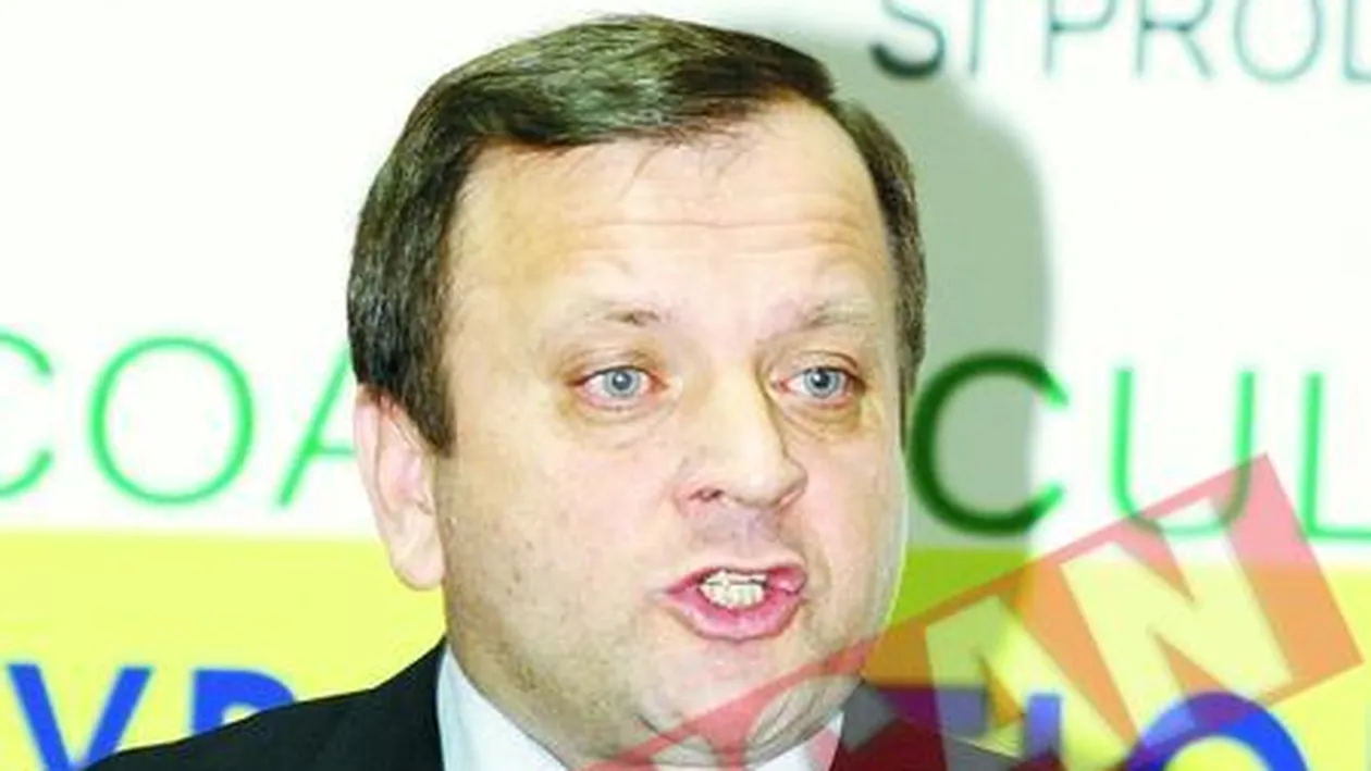 Gheorghe Flutur: Padurile au fost defrisate de hayssami