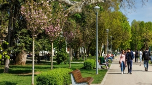 Minivacanța de Rusalii. Evenimente în București și în țară