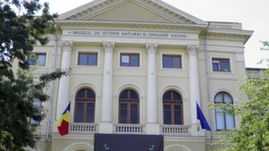 Record absolut: 18.000 de oameni au vizitat Muzeul Antipa cu ocazia Noptii Muzeelor! Ce alte locuri au preferat bucurestenii