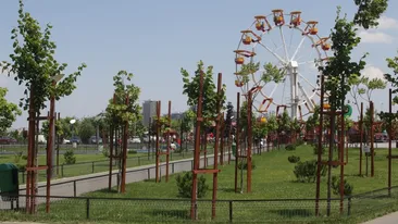 Baietii au incins gratarele, fetele au facut topless! Vezi cum au petrecut bucurestenii de Rusalii!