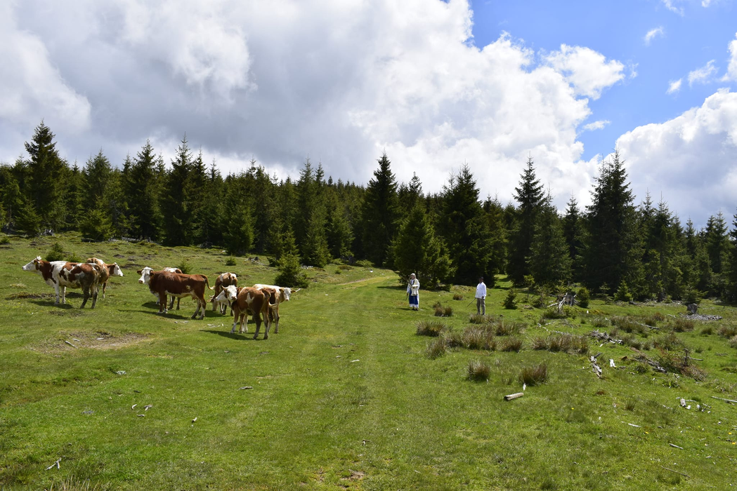Ai auzit de satul Măguri? Este localitatea aflată la cea mai înaltă altitudine din România şi arată mirific