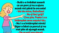 BANC | Bulă s-a îmbătat aseară ca un porc și nu a ajuns acasă nici până la ora asta!