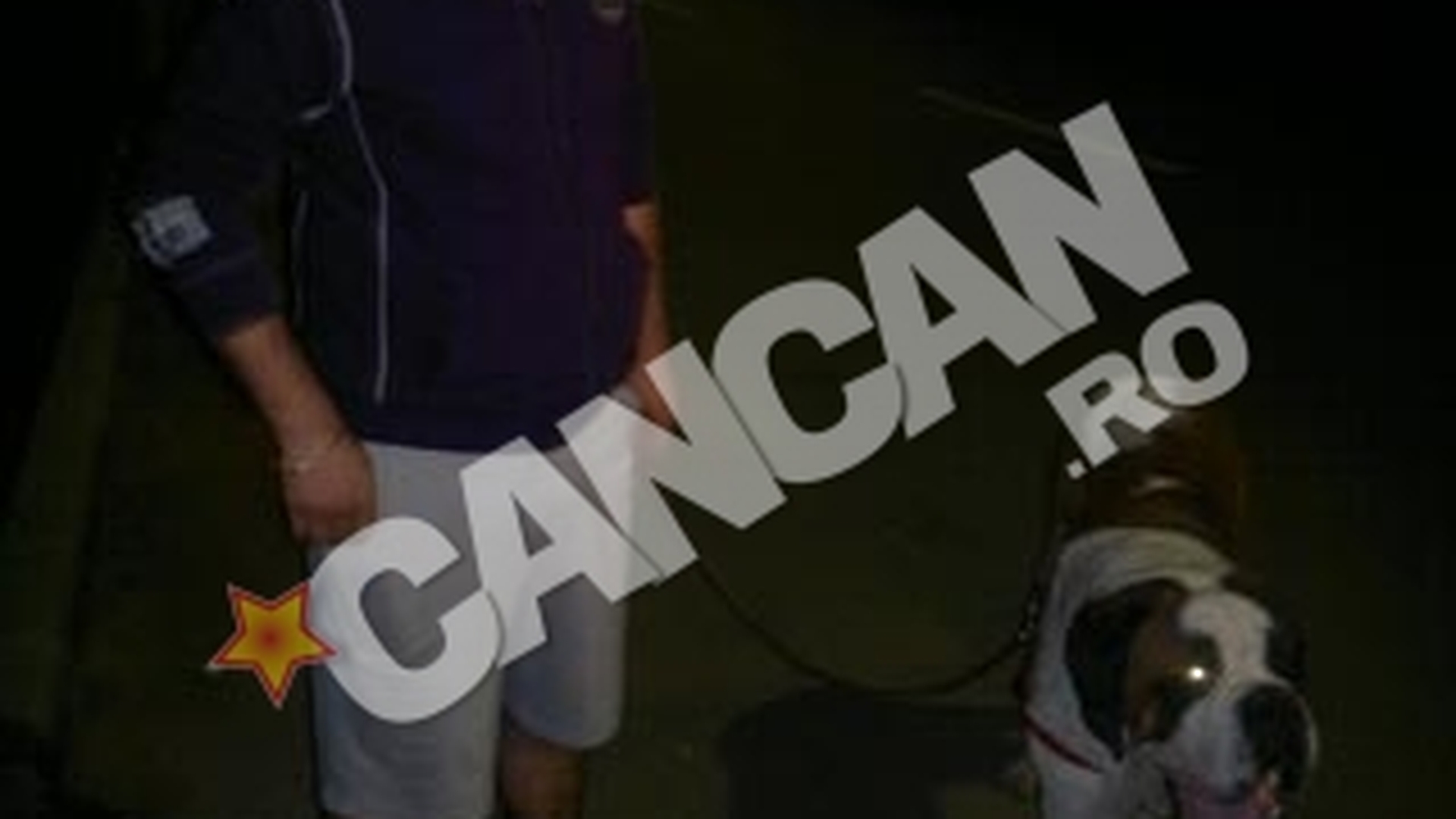 Atacat de cainele politiei