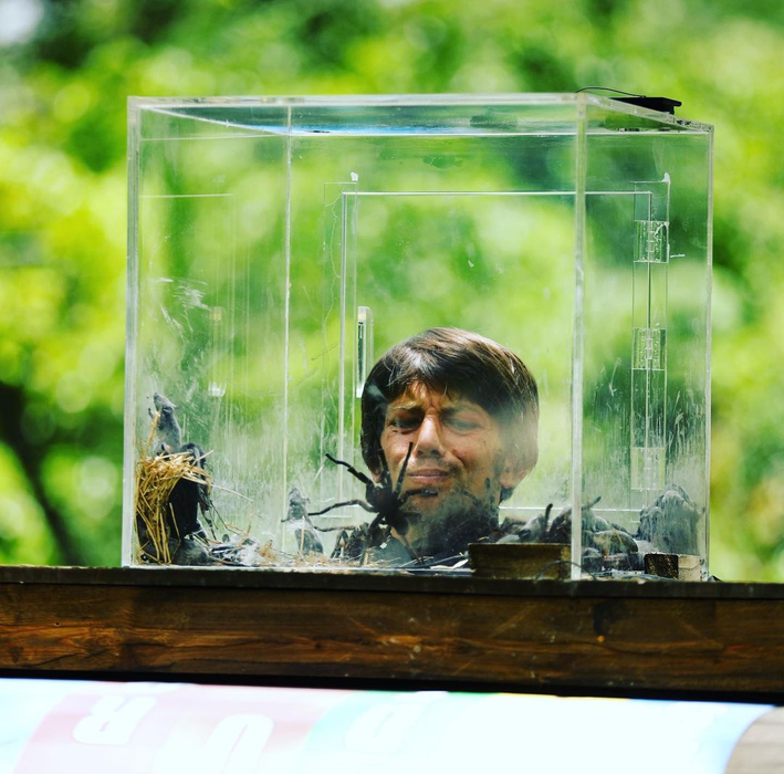 Motivul real pentru care Paul Diaconescu a fost eliminat de la Sunt celebru, scoate-mă de aici! Ce s-a întâmplat, de fapt, în Dominicană