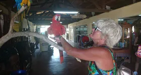 Galerie foto - poza 4