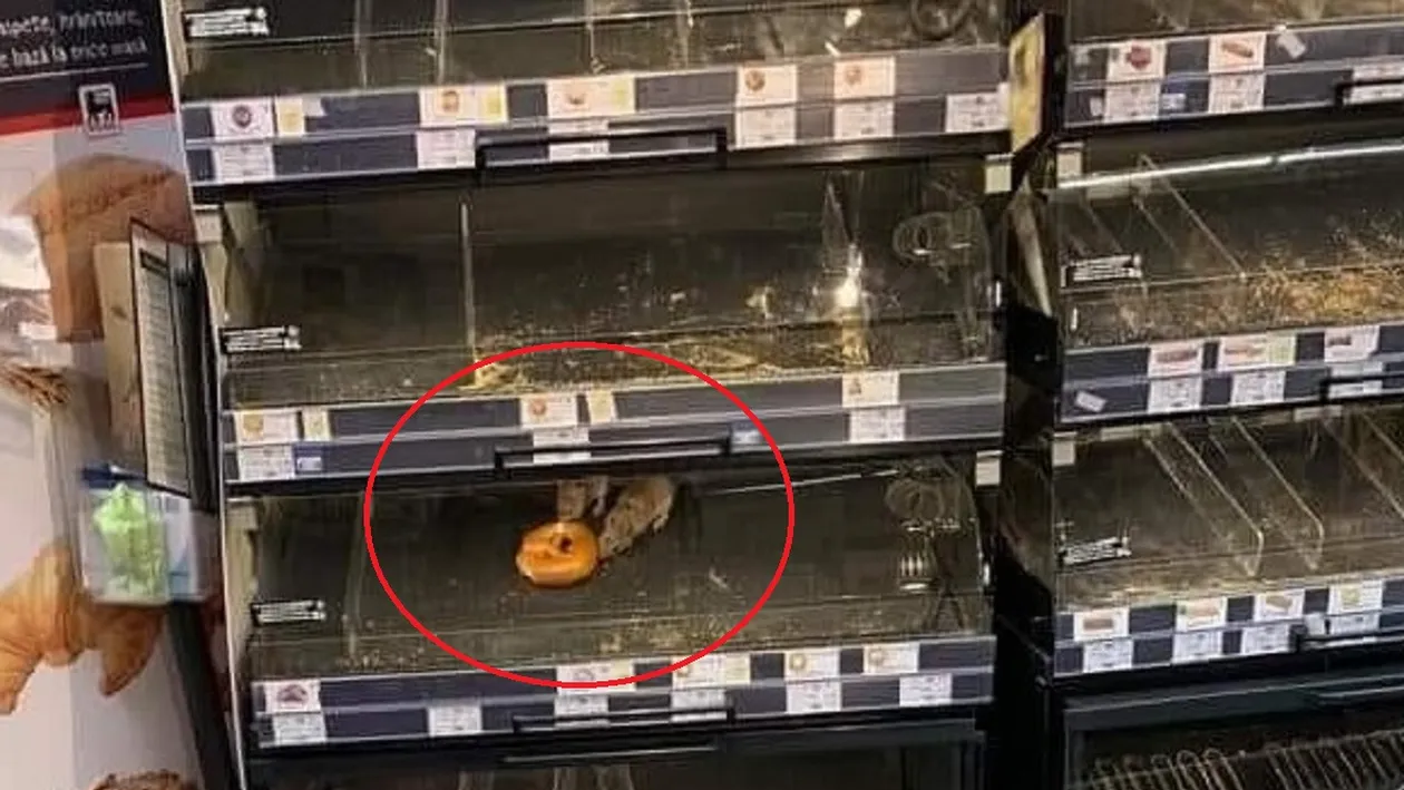 Bancul zilei / Le cerem scuze clienților și îi invităm să cumpere covrigul ros de șobolani