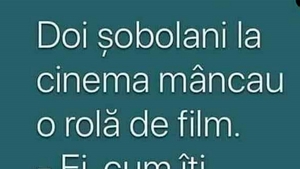 BANC | Doi șobolani la cinema