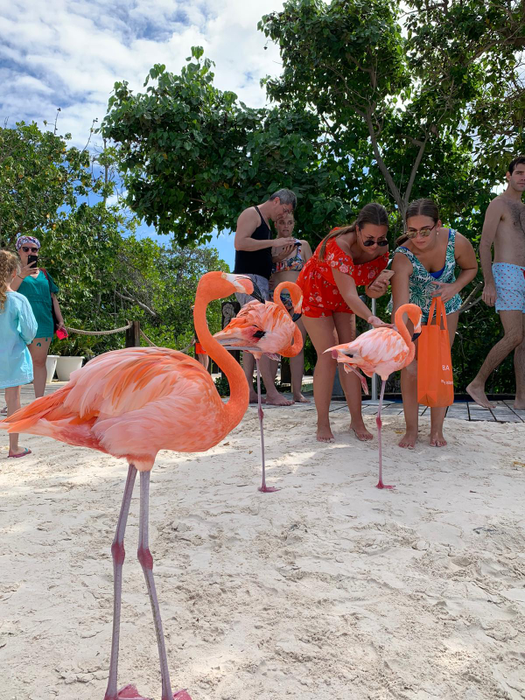 EXCLUSIV. Dan Barna, vacanță de vis în Aruba! Avem imaginile de pe insula privată