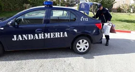 Galerie foto - poza 4