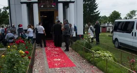 Galerie foto - poza 2