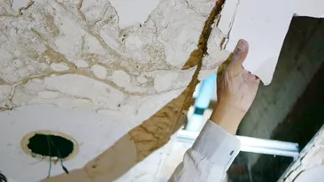 O bucată de tavan al unui magazin din Prahova s-a prăbuşit. Printre victime se află și un copil