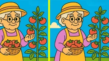 TEST IQ | Identificați toate cele 3 diferențe dintre aceste două bunicuțe, în maximum 51 de secunde