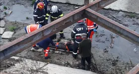 Galerie foto - poza 1