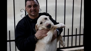 Cum s-au împăcat Ionel Ganea și Ladislau Boloni după ce au fost chiar la un pas de bătaie. Au dansat pe o melodie ungurească. „Vino-ncoace să te-nțep”
