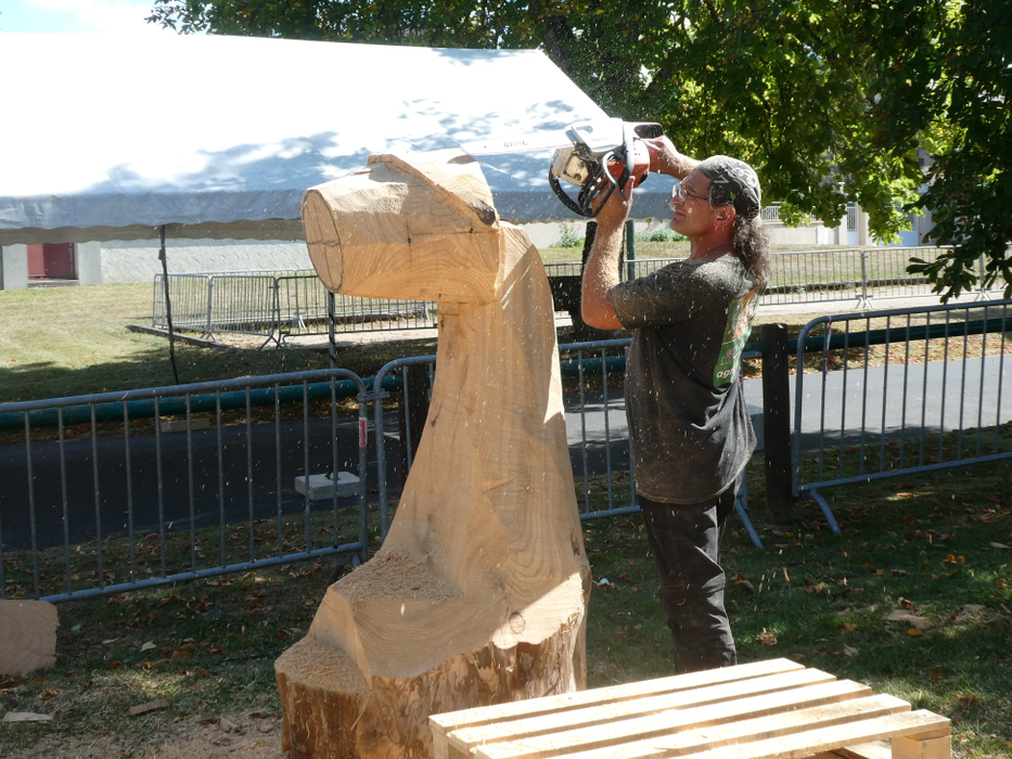 Gabriel Rizea sculptează cu drujba