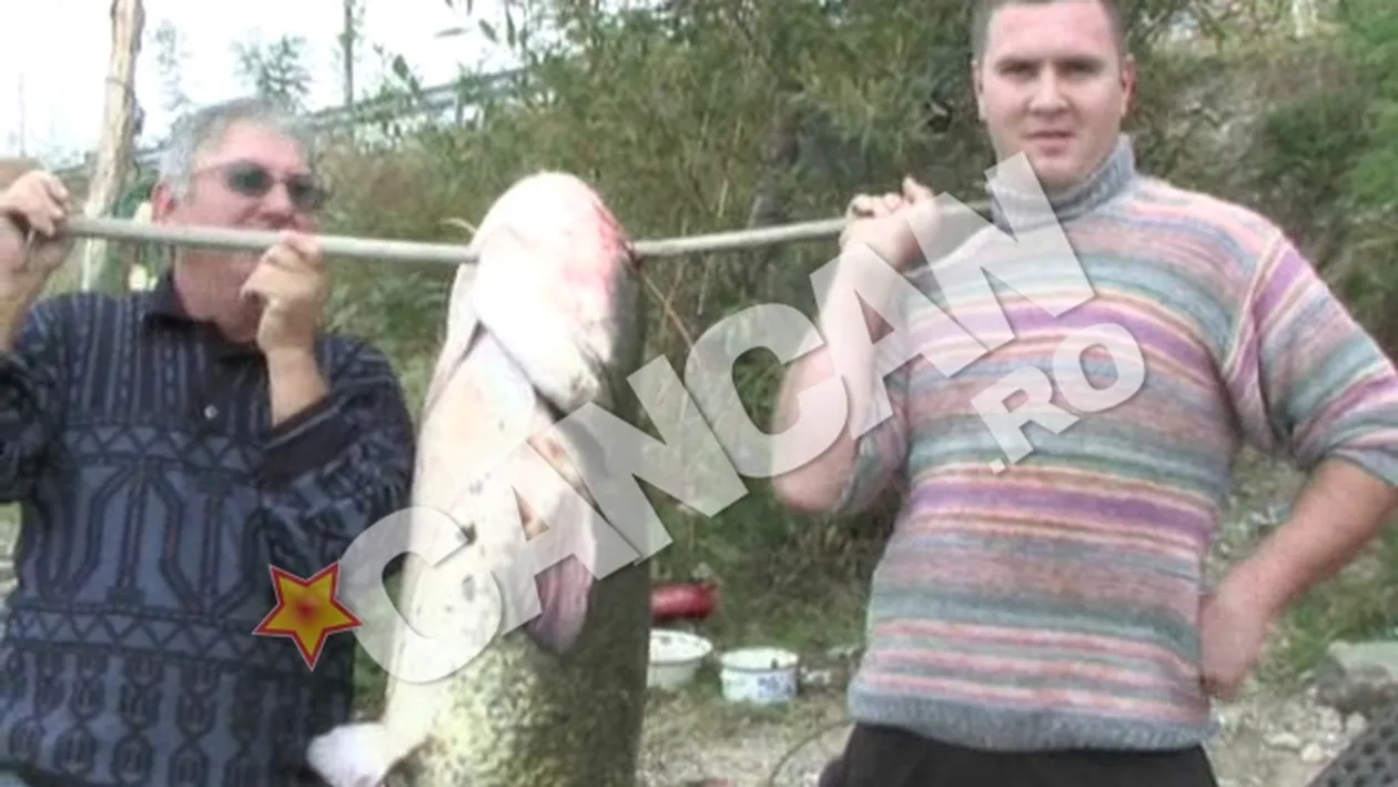 VIDEO Nu e poveste pescareasca! Doi barbati au prins un somn de peste 50 de kilograme! Vezi cum arata Monstrul din Dunare!