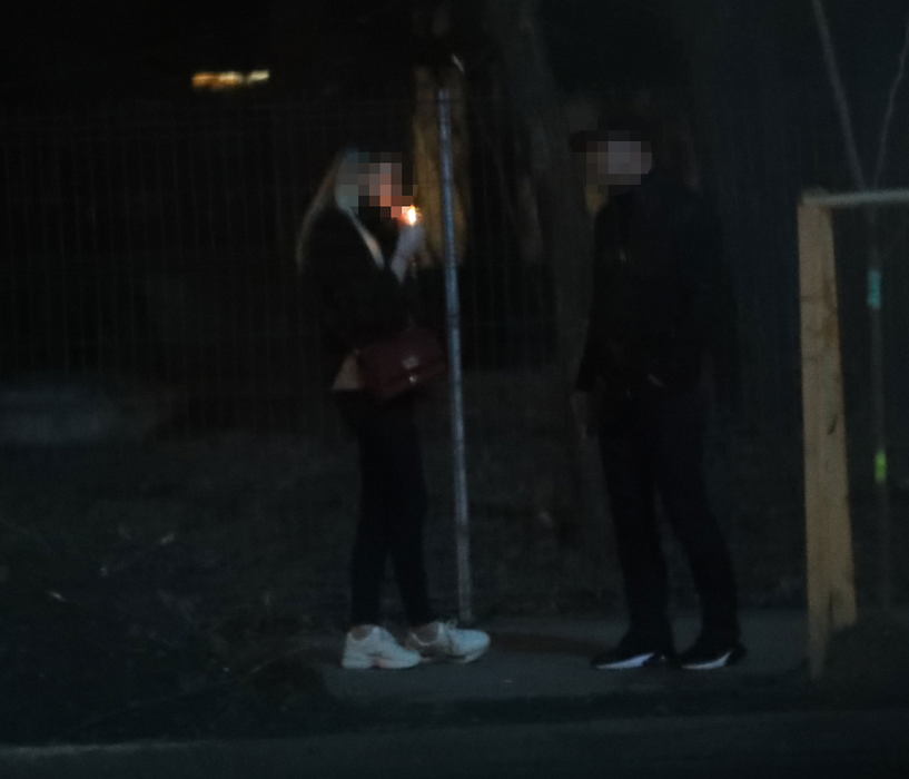 Prințesica celebrului multimilionar, discuții nocturne în Herăstrău cu ”omul de casă” al tăticului!