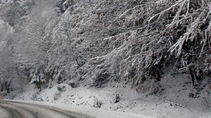 Traficul pe DN 67 D Baia de Arama - Herculane a fost inchis de teama avalanselor! Vezi pe unde nu poti circula azi