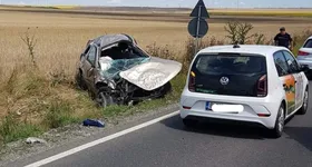 Galerie foto - poza 3