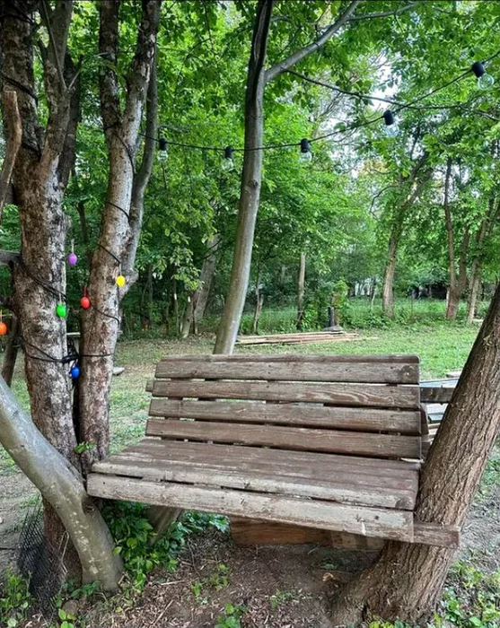 Cum arată casa de vacanță a dr. nutriționist Mihaela Bilic. Și-a construit propria oază de liniște pe Valea Prahovei