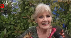 Galerie foto - poza 1