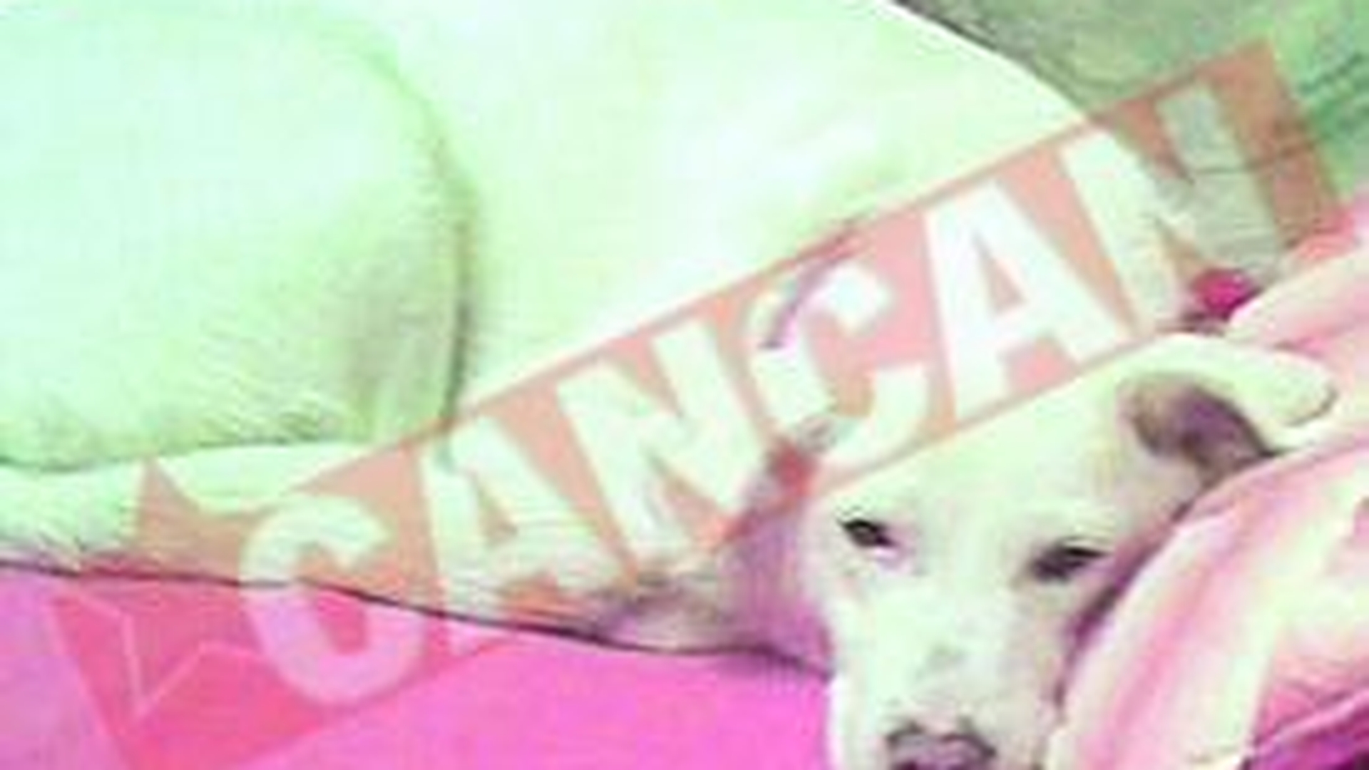 Biggy si Ledy, prietene la catarama din tinerete