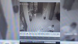 Imagini cutremurătoare la Timișoara! O mamă și-a trântit bebelușul de pământ VIDEO