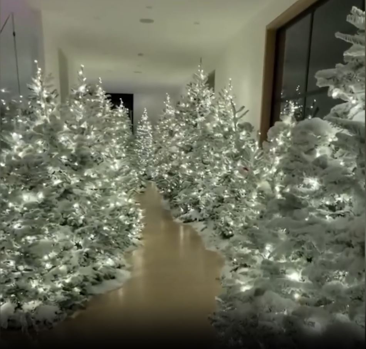 Așa ceva, mai rar! Vedeta care și-a transformat locuința într-o pădure cu brazi de Crăciun