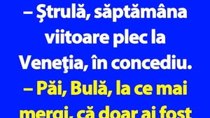 BANC | Bulă se duce în concediu în Veneția