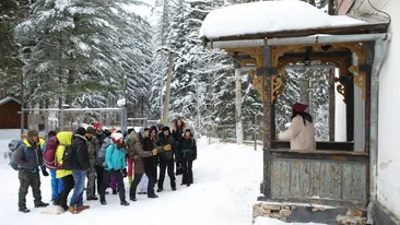 Începe aventura la ”Fermă”! Mihaela Rădulescu, cină de neuitat + pe cine a pus ochii Moroșanu