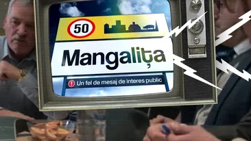 Boșii din Antena 1 nu pariază pe ”Mangalița: Poantele sunt foarte slabe... Așa nu batem Las Fierbinți!”