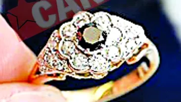 Si-a facut diamant din cenusa pisicii
